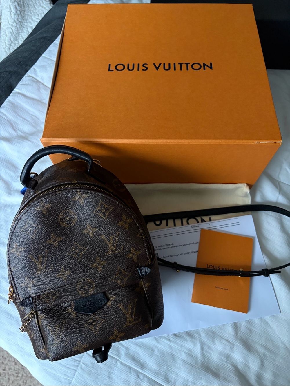 Louis Vuitton Brown Monogram Mini Palm Springs Backpack with Black Strap